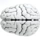 tramatic brain injury